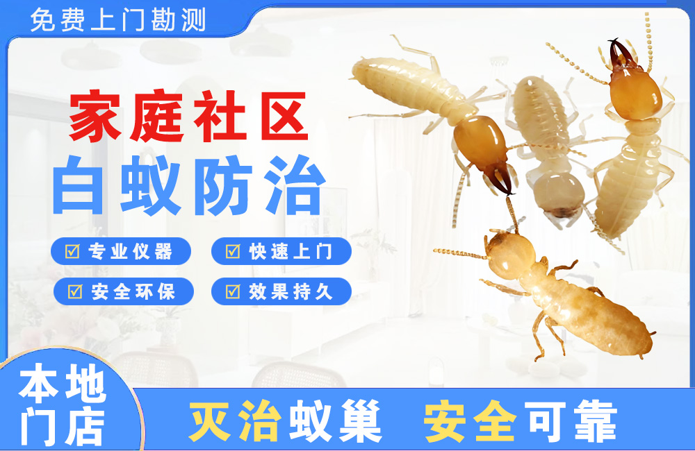 太仓家庭社区白蚁防治