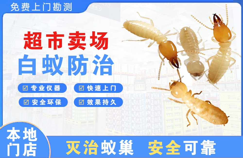 太仓超市卖场白蚁防治