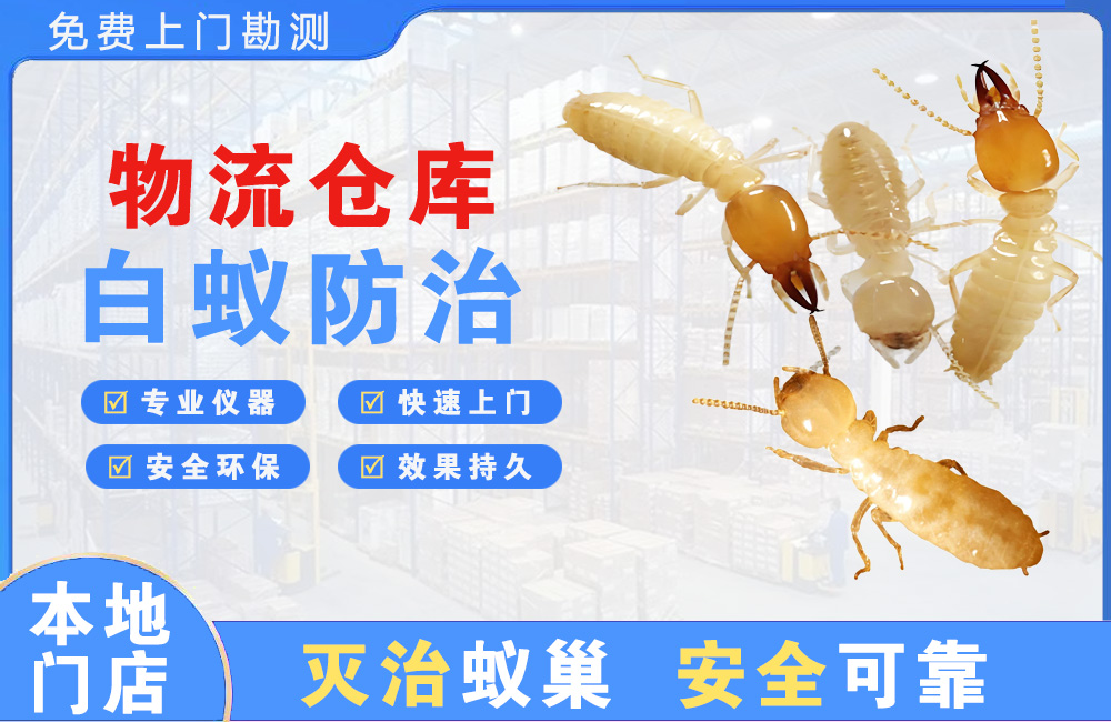 太仓物流仓库白蚁防治