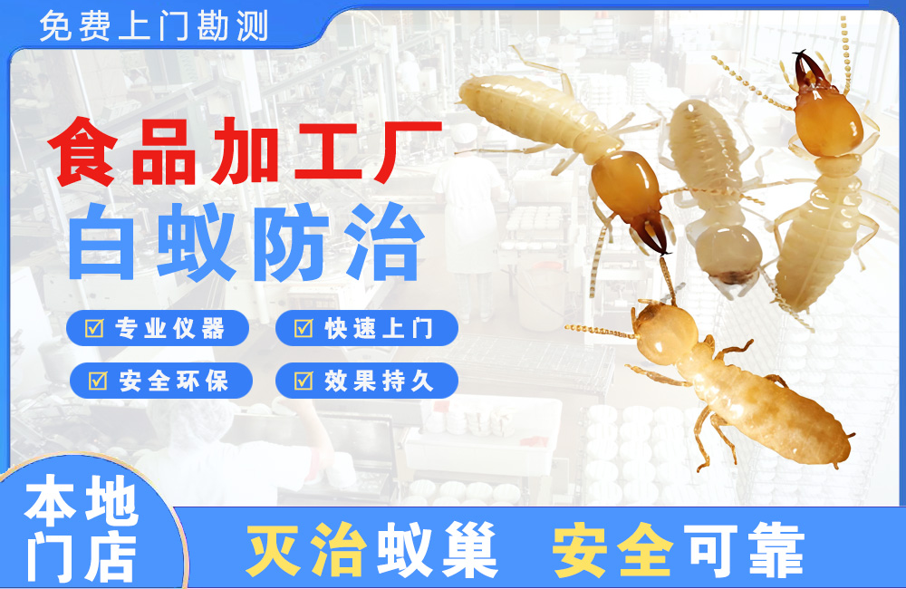 太仓食品加工厂白蚁防治