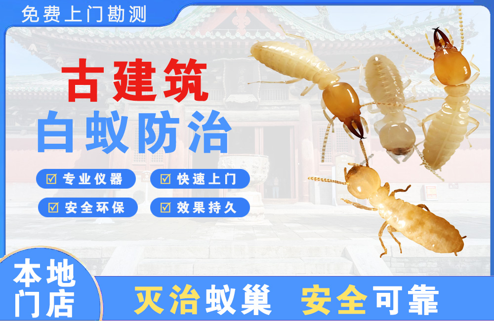 太仓古建筑白蚁防治