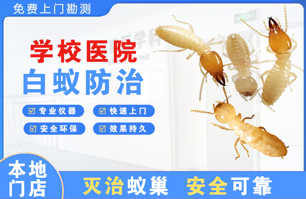 太仓学校医院白蚁防治