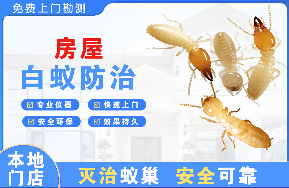 太仓房屋白蚁防治