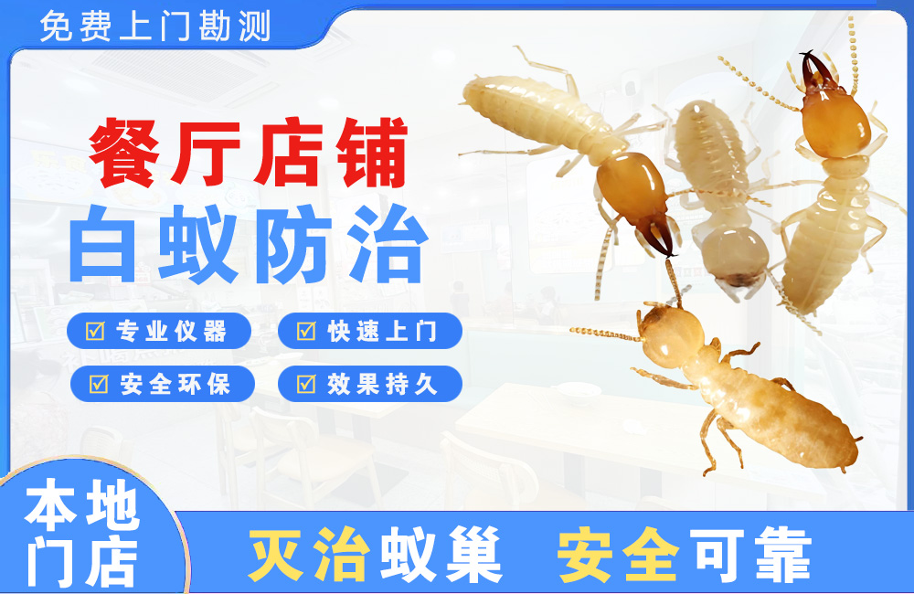太仓餐厅店铺白蚁防治